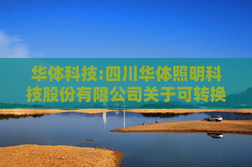 华体科技:四川华体照明科技股份有限公司关于可转换公司债券转股结果暨股份变动的公告
