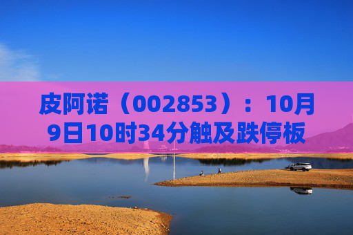 皮阿诺（002853）：10月9日10时34分触及跌停板