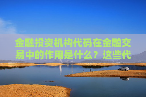 金融投资机构代码在金融交易中的作用是什么？这些代码如何确保交易的准确性？
