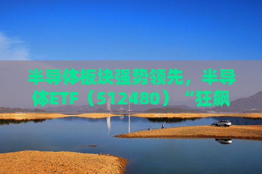 半导体板块强势领先，半导体ETF（512480）“狂飙”涨停，成交额突破79亿元！