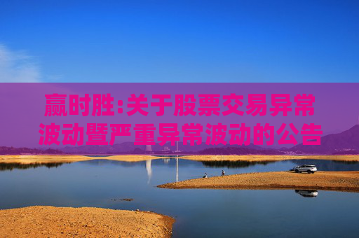 赢时胜:关于股票交易异常波动暨严重异常波动的公告