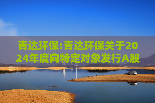 青达环保:青达环保关于2024年度向特定对象发行A股股票摊薄即期回报与填补措施及相关主体承诺的公告