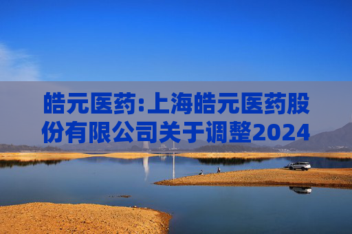 皓元医药:上海皓元医药股份有限公司关于调整2024年半年度利润分配现金分红总额的公告