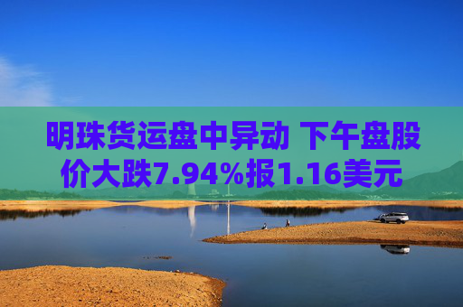 明珠货运盘中异动 下午盘股价大跌7.94%报1.16美元