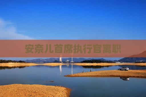 安奈儿首席执行官离职