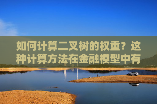 如何计算二叉树的权重？这种计算方法在金融模型中有何作用？
