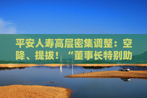 平安人寿高层密集调整：空降、提拔！“董事长特别助理”成晋升通道？