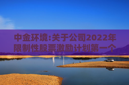 中金环境:关于公司2022年限制性股票激励计划第一个解除限售期条件成就的公告