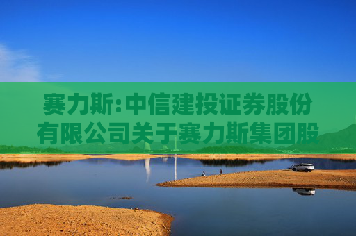 赛力斯:中信建投证券股份有限公司关于赛力斯集团股份有限公司发行股份购买资产之独立财务顾问报告