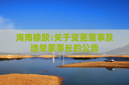 海南橡胶:关于变更董事及选举董事长的公告