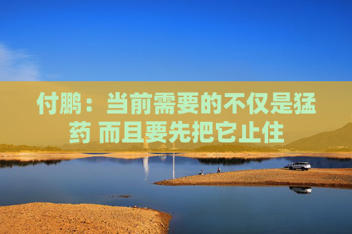 付鹏：当前需要的不仅是猛药 而且要先把它止住