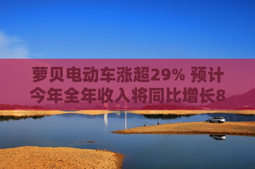 萝贝电动车涨超29% 预计今年全年收入将同比增长80%