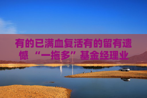 有的已满血复活有的留有遗憾 “一拖多”基金经理业绩分化