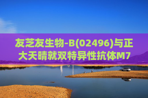 友芝友生物-B(02496)与正大天晴就双特异性抗体M701订立许可与合作协议