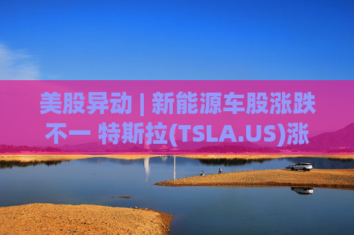 美股异动 | 新能源车股涨跌不一 特斯拉(TSLA.US)涨超1%