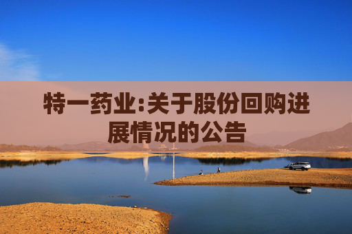 特一药业:关于股份回购进展情况的公告