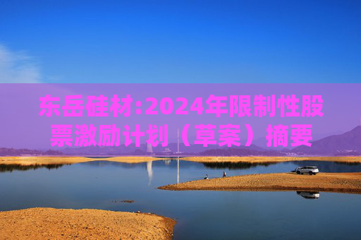 东岳硅材:2024年限制性股票激励计划（草案）摘要