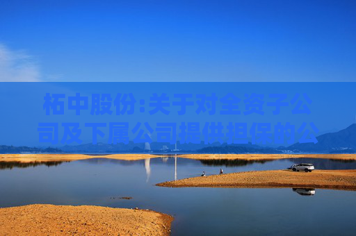 柘中股份:关于对全资子公司及下属公司提供担保的公告