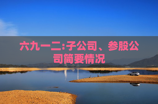 六九一二:子公司、参股公司简要情况