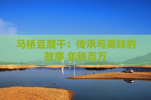 马桥豆腐干：传承与美味的故事 年销百万