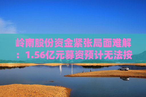岭南股份资金紧张局面难解：1.56亿元募资预计无法按期归还