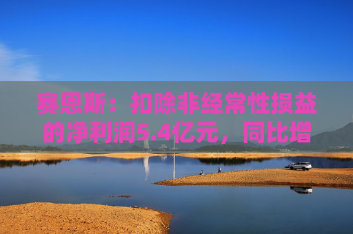 赛恩斯：扣除非经常性损益的净利润5.4亿元，同比增长64.97%