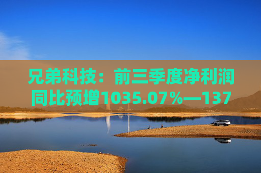 兄弟科技：前三季度净利润同比预增1035.07%―1375.6%