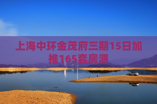 上海中环金茂府三期15日加推165套房源