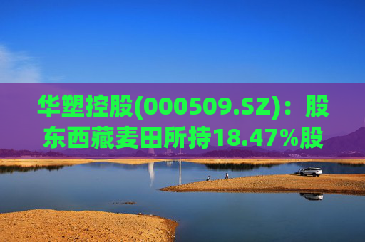 华塑控股(000509.SZ)：股东西藏麦田所持18.47%股权将被司法拍卖