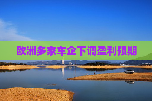 欧洲多家车企下调盈利预期