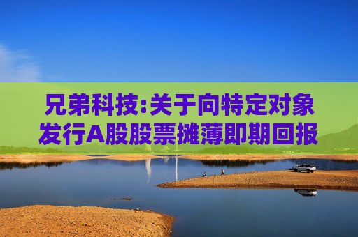 兄弟科技:关于向特定对象发行A股股票摊薄即期回报、填补措施及相关主体承诺（四次修订稿）的公告