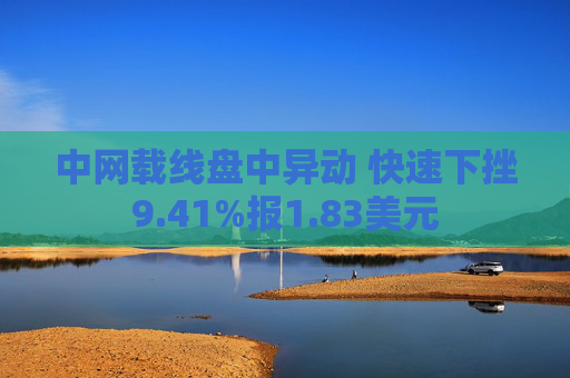 中网载线盘中异动 快速下挫9.41%报1.83美元