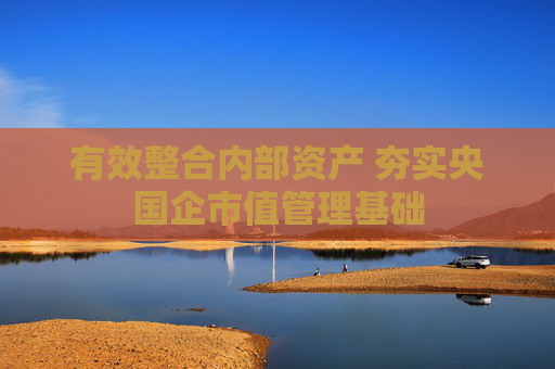 有效整合内部资产 夯实央国企市值管理基础