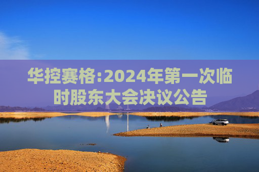 华控赛格:2024年第一次临时股东大会决议公告