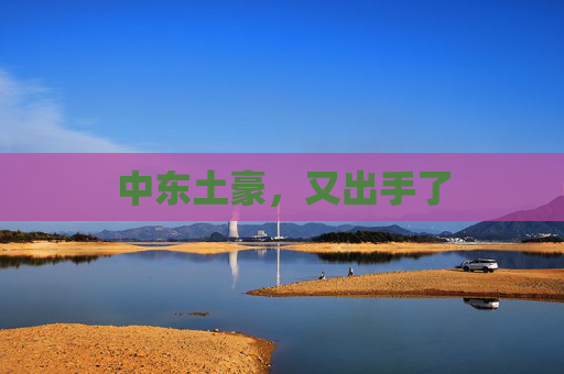 中东土豪，又出手了