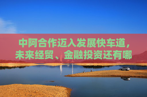 中阿合作迈入发展快车道，未来经贸、金融投资还有哪些机会？
