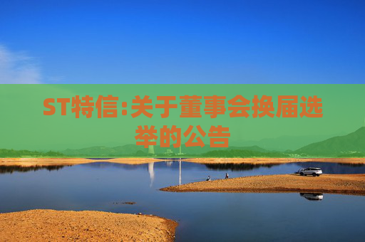 ST特信:关于董事会换届选举的公告
