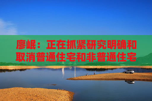 廖岷：正在抓紧研究明确和取消普通住宅和非普通住宅标准相衔接的增值税政策