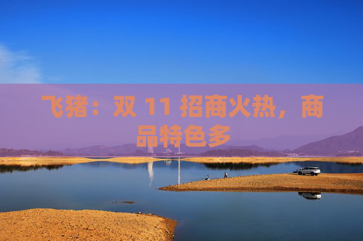 飞猪：双 11 招商火热，商品特色多