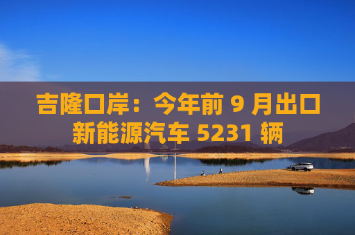吉隆口岸：今年前 9 月出口新能源汽车 5231 辆
