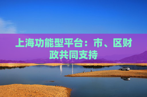 上海功能型平台：市、区财政共同支持
