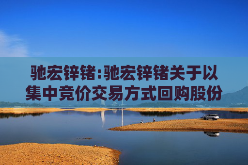驰宏锌锗:驰宏锌锗关于以集中竞价交易方式回购股份的回购报告书