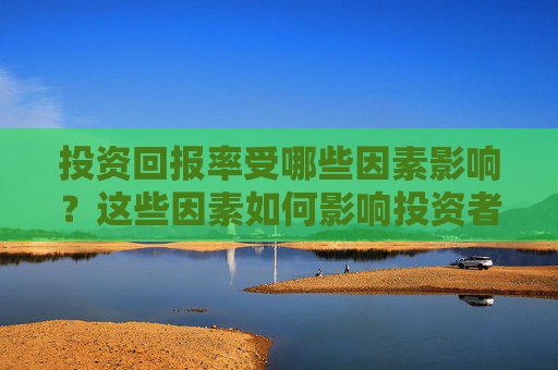 投资回报率受哪些因素影响？这些因素如何影响投资者的策略？