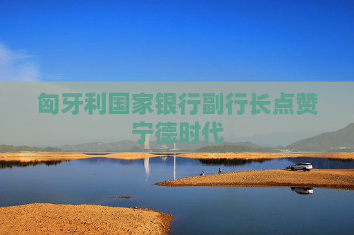 匈牙利国家银行副行长点赞宁德时代