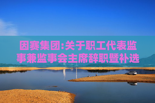 因赛集团:关于职工代表监事兼监事会主席辞职暨补选职工代表监事、监事会主席的公告