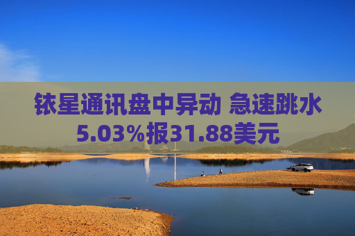铱星通讯盘中异动 急速跳水5.03%报31.88美元