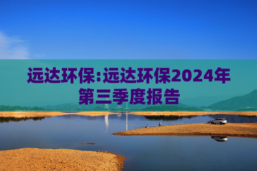 远达环保:远达环保2024年第三季度报告