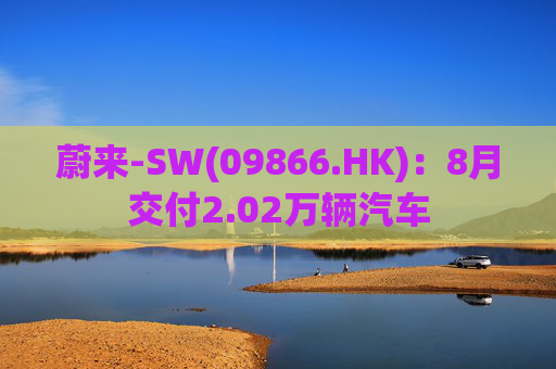蔚来-SW(09866.HK)：8月交付2.02万辆汽车