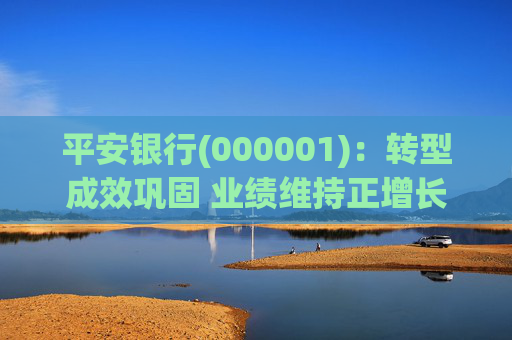 平安银行(000001)：转型成效巩固 业绩维持正增长
