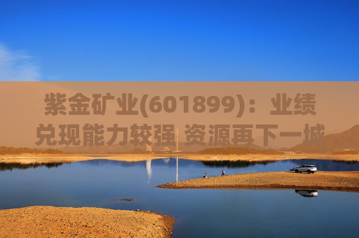 紫金矿业(601899)：业绩兑现能力较强 资源再下一城